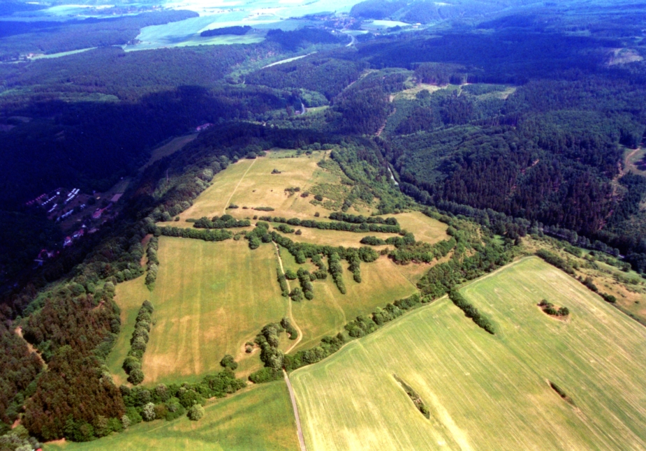 Amber Road – Staré Hradisko